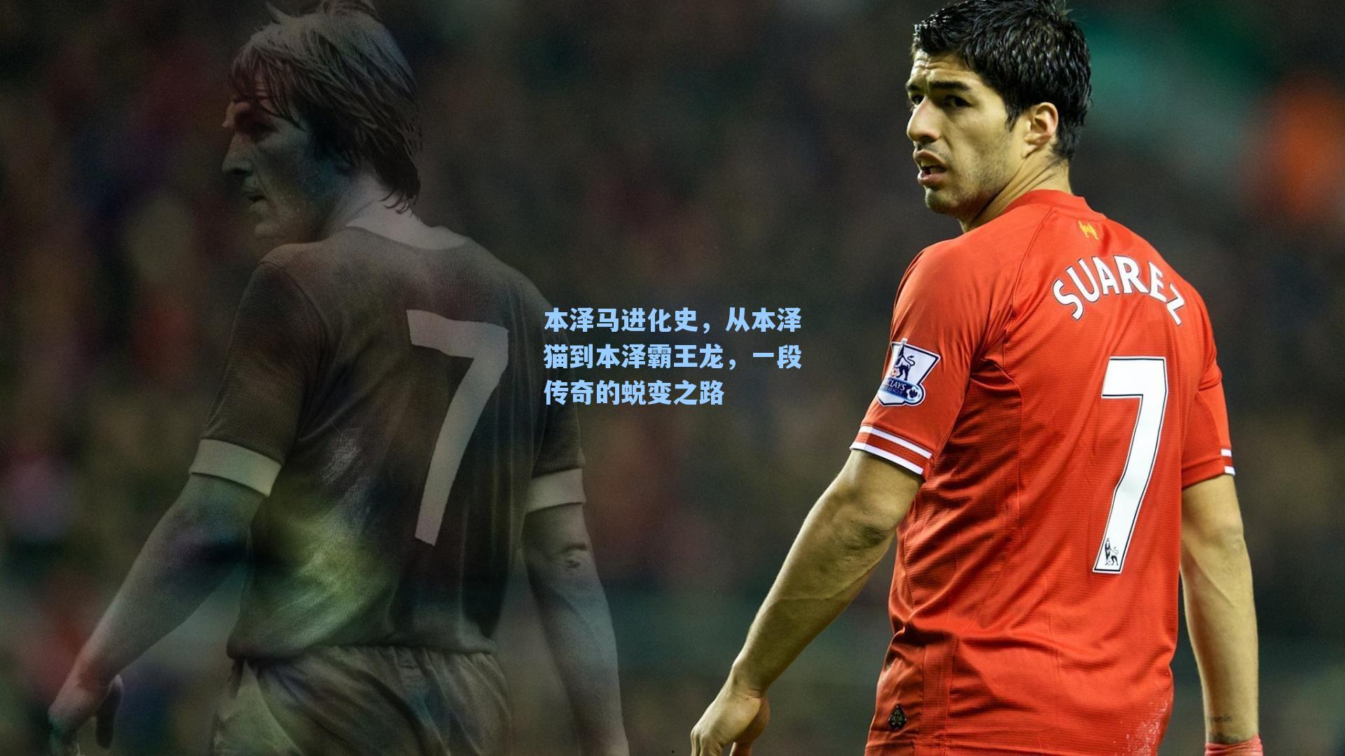 本泽马进化史，从本泽猫到本泽霸王龙，一段传奇的蜕变之路