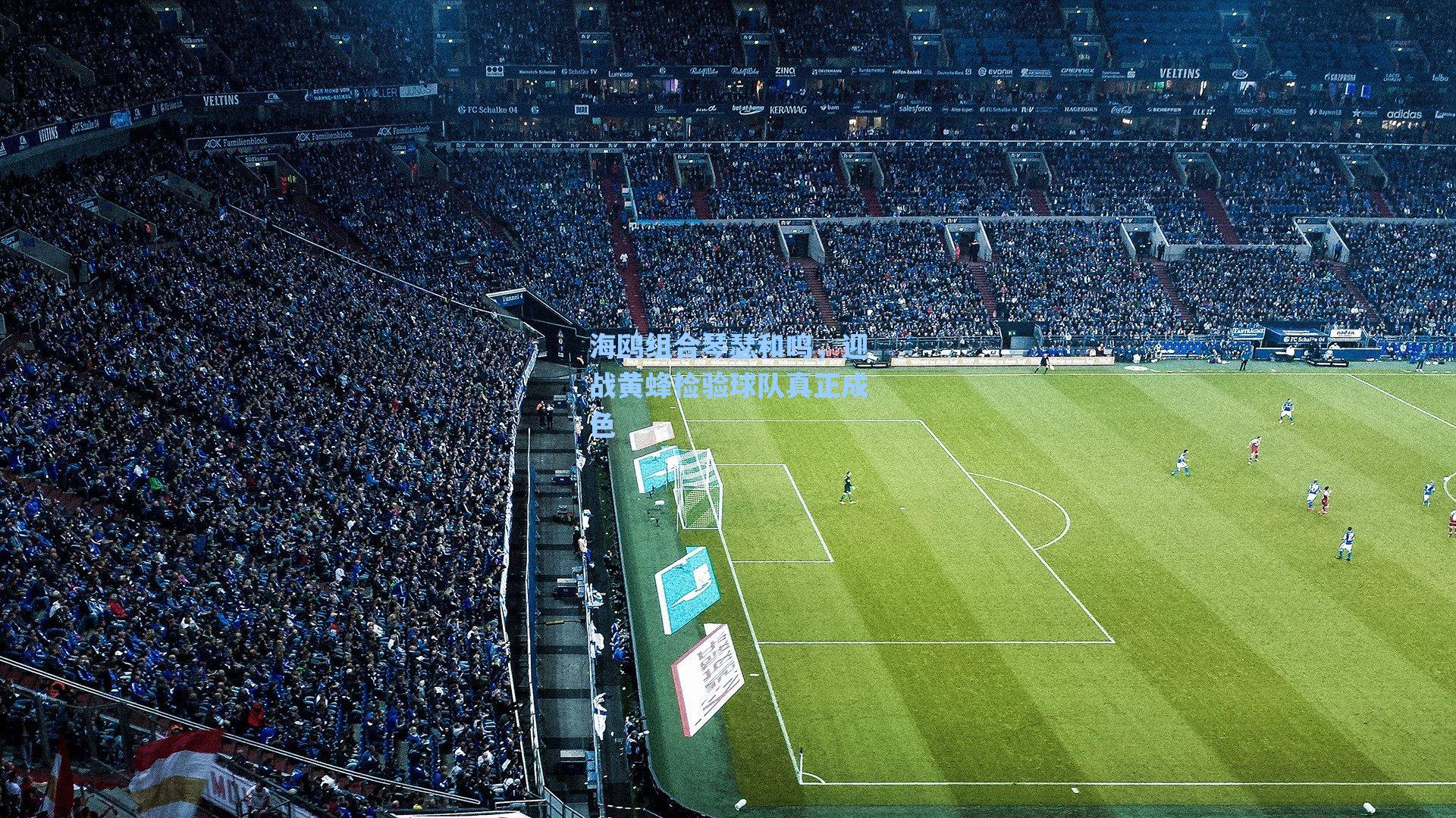 【爱游戏官网网页版入口】海鸥组合琴瑟和鸣，迎战黄蜂检验球队真正成色