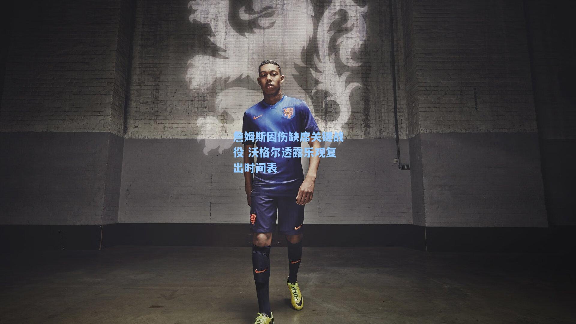 詹姆斯因伤缺席关键战役 沃格尔透露乐观复出时间表